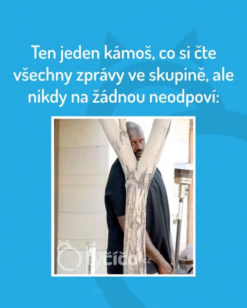     OBRÁZKY – Naše MEME #2239    