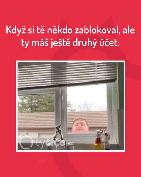     OBRÁZKY – Naše MEME #2240    