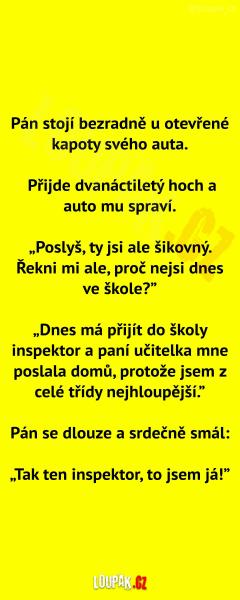     OBRÁZKY – Naše MEME #2262    