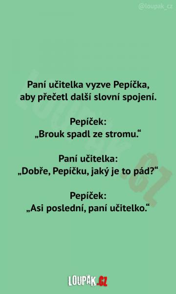     OBRÁZKY – Naše MEME #2290    
